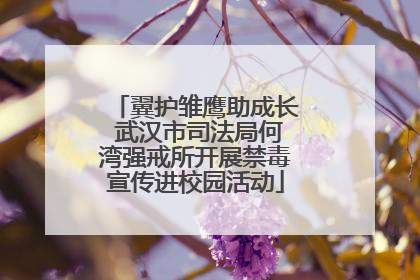 翼护雏鹰助成长 武汉市司法局何湾强戒所开展禁毒宣传进校园活动