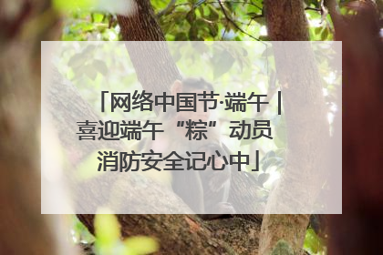 网络中国节·端午｜喜迎端午“粽”动员 消防安全记心中
