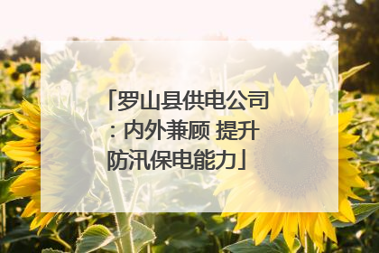 罗山县供电公司：内外兼顾 提升防汛保电能力