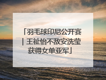 羽毛球印尼公开赛｜王祉怡不敌安洗莹 获得女单亚军