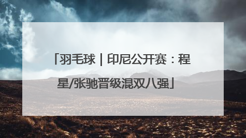 羽毛球｜印尼公开赛：程星/张驰晋级混双八强
