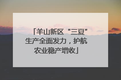 羊山新区“三夏”生产全面发力，护航农业稳产增收