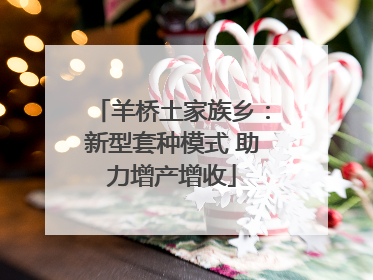 羊桥土家族乡：新型套种模式 助力增产增收