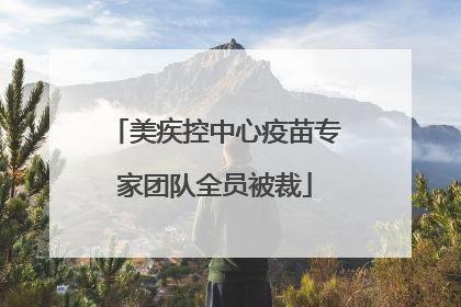 美疾控中心疫苗专家团队全员被裁