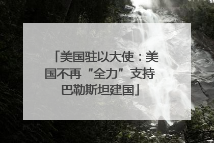 美国驻以大使：美国不再“全力”支持巴勒斯坦建国