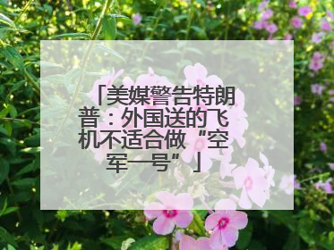 美媒警告特朗普：外国送的飞机不适合做“空军一号”