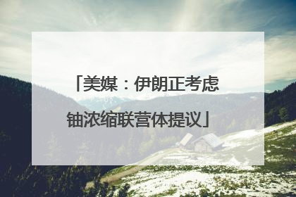 美媒：伊朗正考虑铀浓缩联营体提议