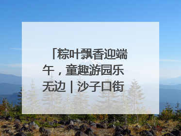 粽叶飘香迎端午，童趣游园乐无边｜沙子口街道儿童端午游园活动圆满落幕