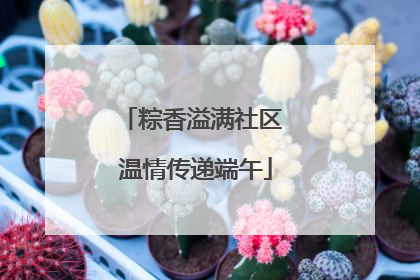 粽香溢满社区 温情传递端午