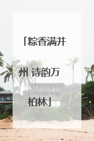 粽香满并州 诗韵万柏林