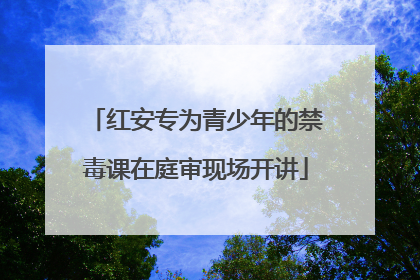 红安专为青少年的禁毒课在庭审现场开讲