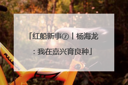 红船新事⑦丨杨海龙：我在嘉兴育良种