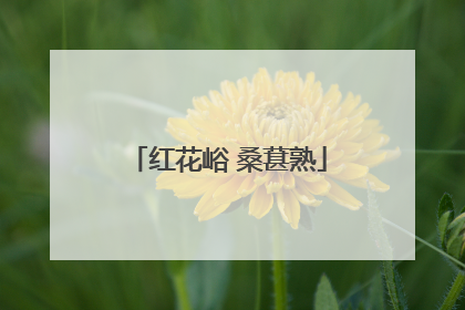 红花峪 桑葚熟