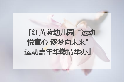 红黄蓝幼儿园“运动悦童心 逐梦向未来”运动嘉年华燃情举办