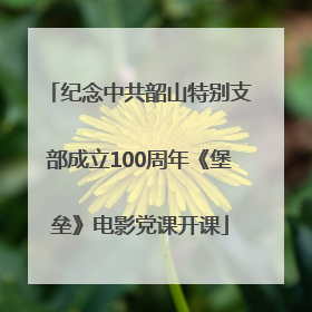 纪念中共韶山特别支部成立100周年《堡垒》电影党课开课