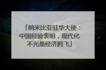 纳米比亚驻华大使：中国经验表明，现代化不光是经济腾飞
