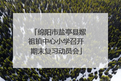 绵阳市盐亭县嫘祖镇中心小学召开期末复习动员会