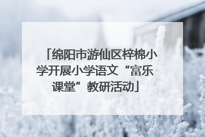 绵阳市游仙区梓棉小学开展小学语文“富乐课堂”教研活动