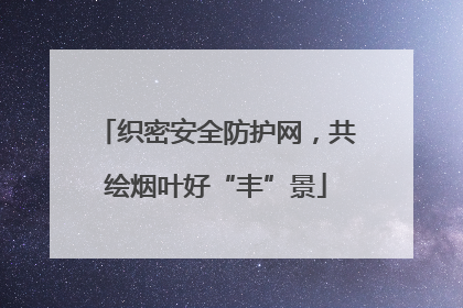 织密安全防护网，共绘烟叶好“丰”景