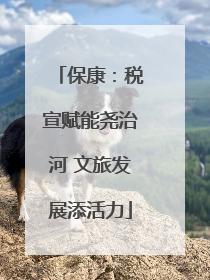 保康：税宣赋能尧治河 文旅发展添活力