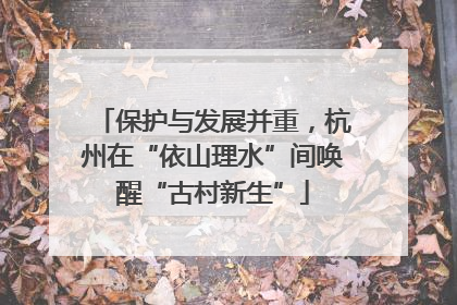 保护与发展并重，杭州在“依山理水”间唤醒“古村新生”