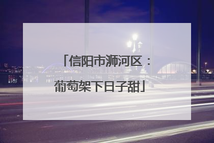 信阳市浉河区：葡萄架下日子甜