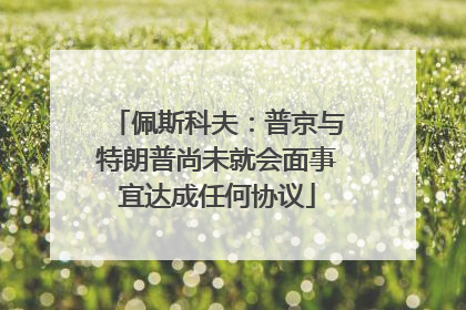 佩斯科夫：普京与特朗普尚未就会面事宜达成任何协议