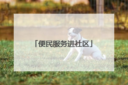 便民服务进社区