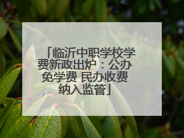临沂中职学校学费新政出炉：公办免学费 民办收费纳入监管