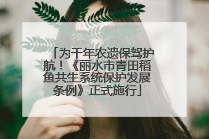 为千年农遗保驾护航！《丽水市青田稻鱼共生系统保护发展条例》正式施行