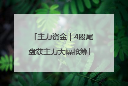 主力资金｜4股尾盘获主力大幅抢筹