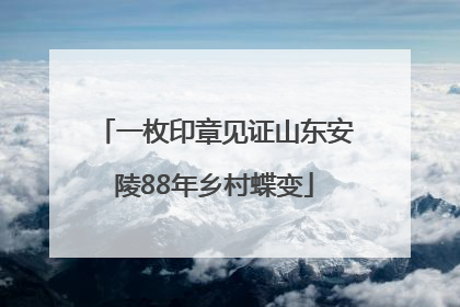 一枚印章见证山东安陵88年乡村蝶变