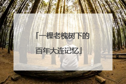 一棵老槐树下的百年大连记忆