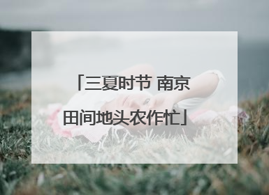 三夏时节 南京田间地头农作忙