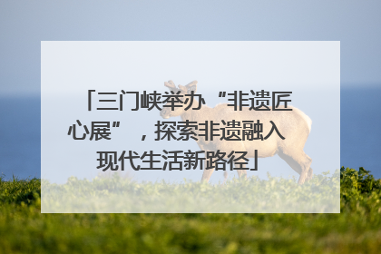 三门峡举办“非遗匠心展”，探索非遗融入现代生活新路径