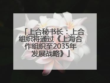 上合秘书长：上合组织将通过《上海合作组织至2035年发展战略》