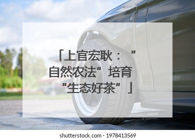上官宏耿：“自然农法”培育“生态好茶”