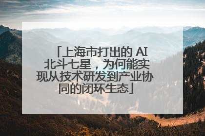 上海市打出的 AI 北斗七星，为何能实现从技术研发到产业协同的闭环生态
