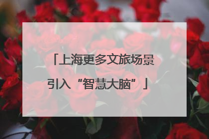 上海更多文旅场景引入“智慧大脑”
