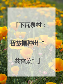 下瓦泉村：智慧棚种出“共富菜”