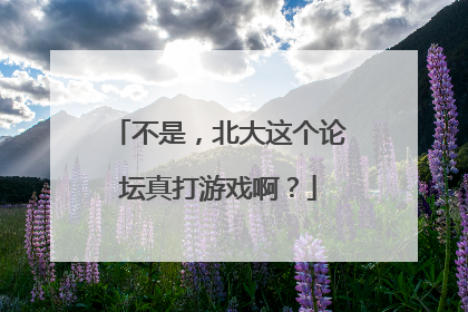 不是，北大这个论坛真打游戏啊？