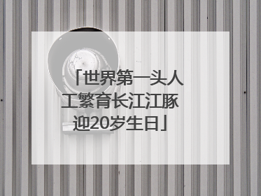 世界第一头人工繁育长江江豚迎20岁生日