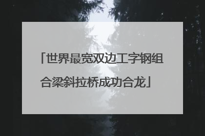 世界最宽双边工字钢组合梁斜拉桥成功合龙