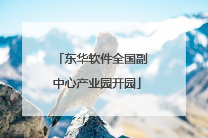 东华软件全国副中心产业园开园