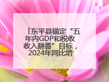 东平县锚定“五年内GDP和税收收入翻番”目标，2024年同比增长5.8%