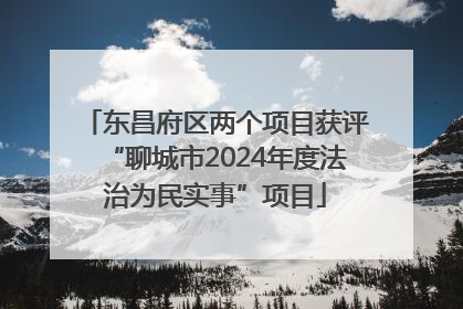 东昌府区两个项目获评“聊城市2024年度法治为民实事”项目