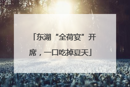 东湖“全荷宴”开席，一口吃掉夏天