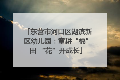 东营市河口区湖滨新区幼儿园：童耕“棉”田 “花”开成长