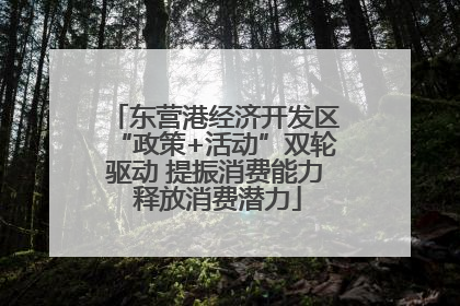 东营港经济开发区“政策+活动”双轮驱动 提振消费能力 释放消费潜力