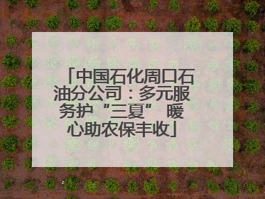 中国石化周口石油分公司：多元服务护“三夏” 暖心助农保丰收